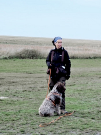 ah-hundeausbildung